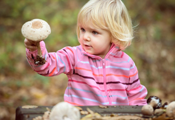 Девочка с грибами
